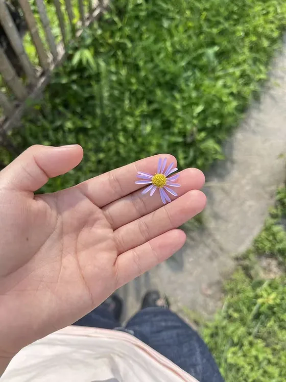 陈雨晴的日常照
